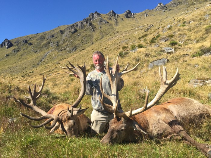 Hunt Red Stag with Telford Hunting NZ Ltd
