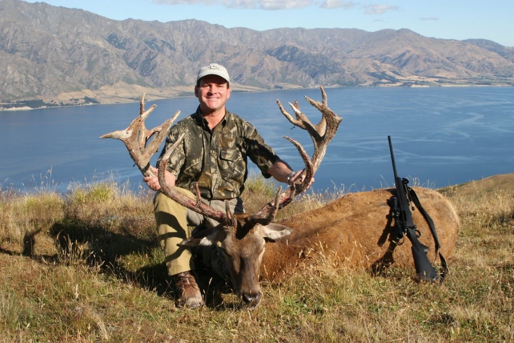 rifle-hunt-red-stag